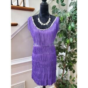 Fun Costumes Women's Purple Polyester Scoop Neck Sleeveless Knee Length Dress S